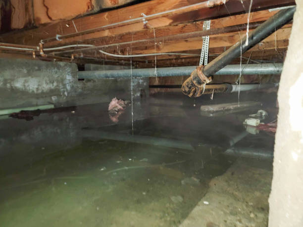 Best Water damage restoration near me  in Sammamish, WA