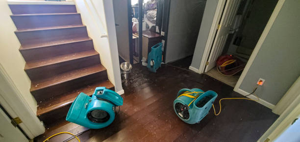 Best Fire Damage Restoration  in Sammamish, WA