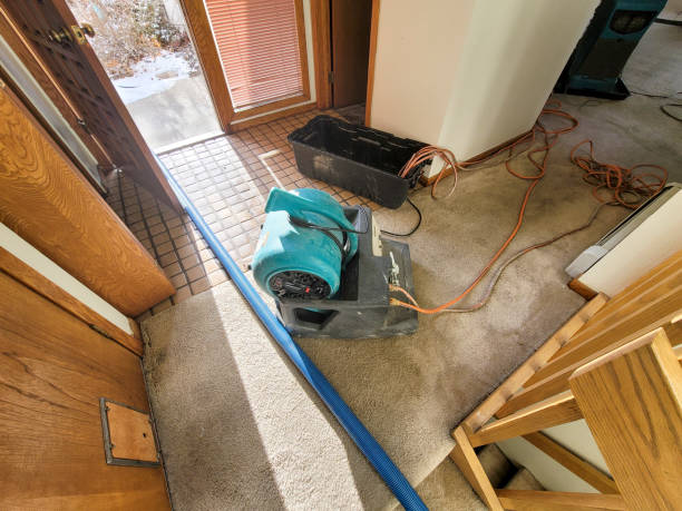 Best Basement water damage restoration  in Sammamish, WA
