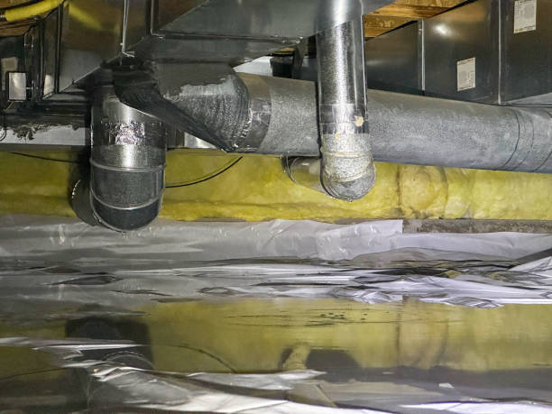 Best Water damage mitigation services  in Sammamish, WA