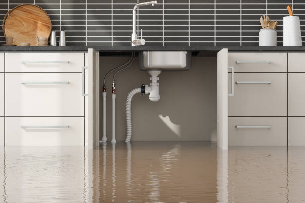 Best Residential water damage restoration  in Sammamish, WA